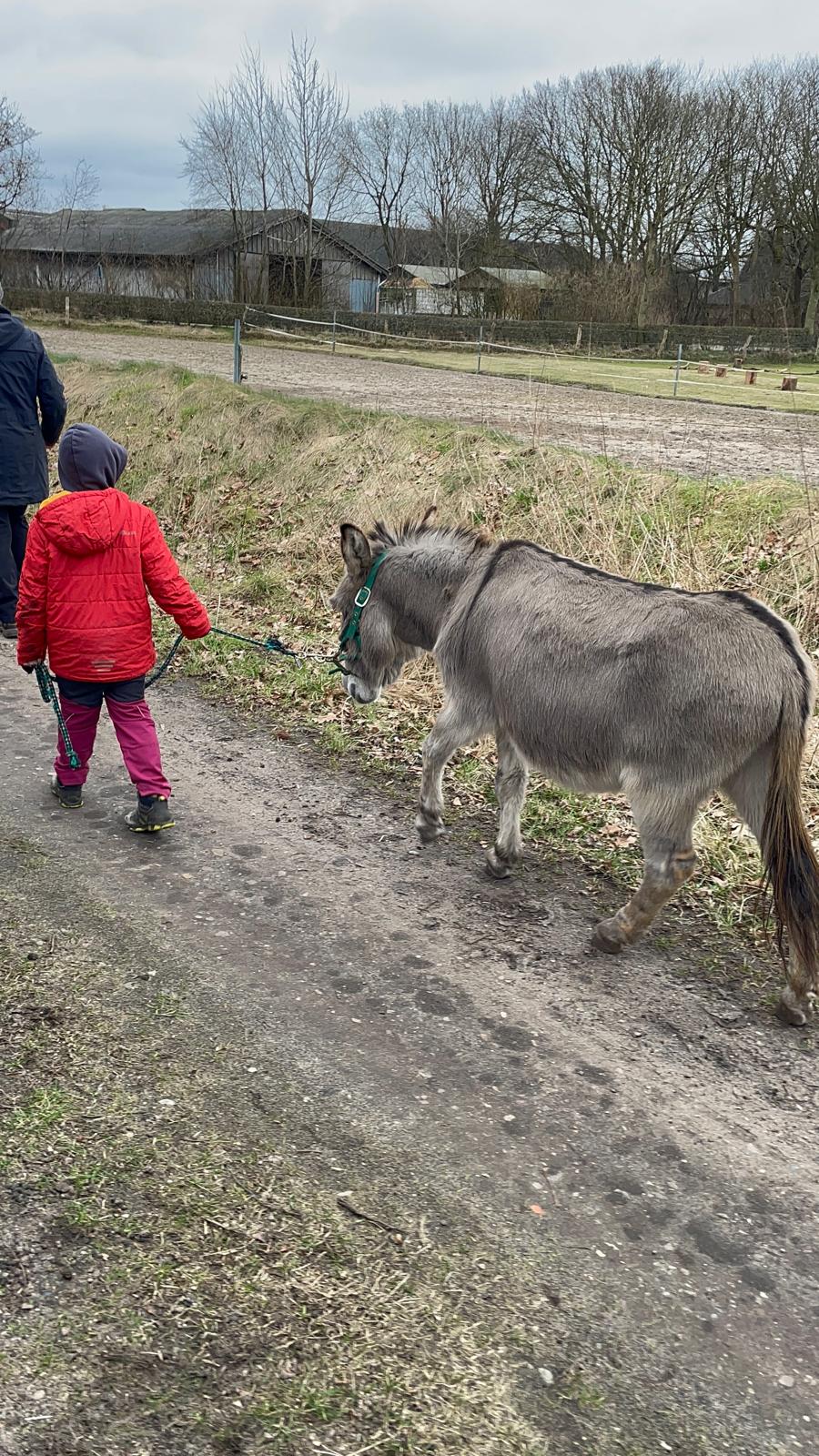 Am Eselhof