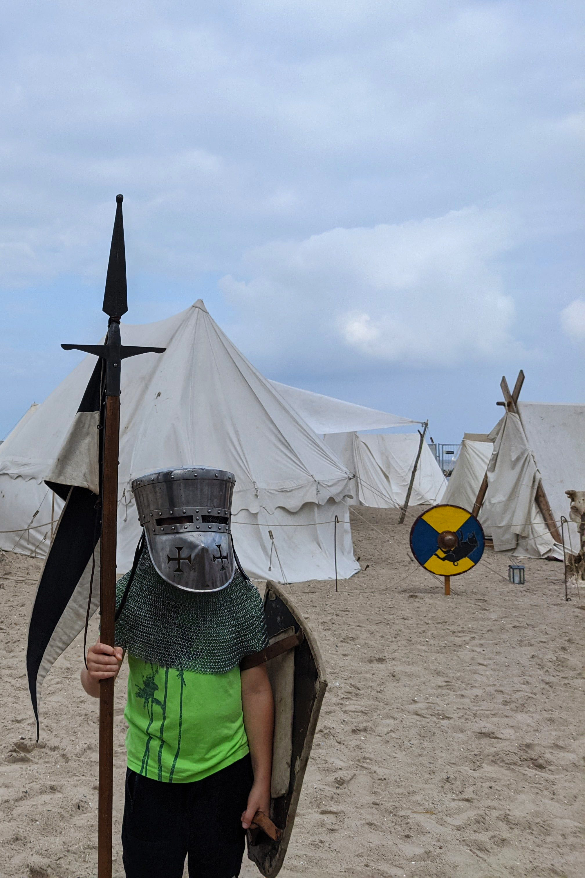 Viking Mania