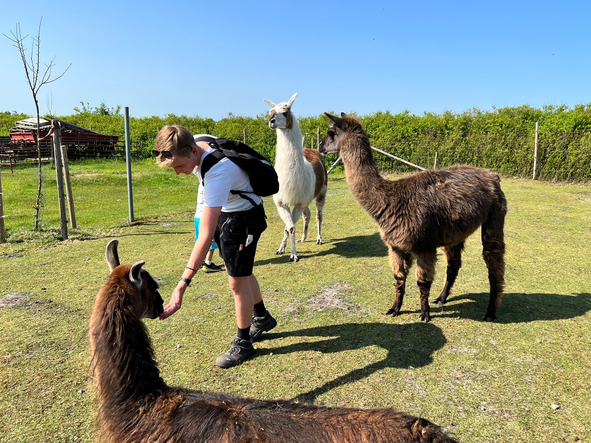 Besuch auf dem Rheider Hof
