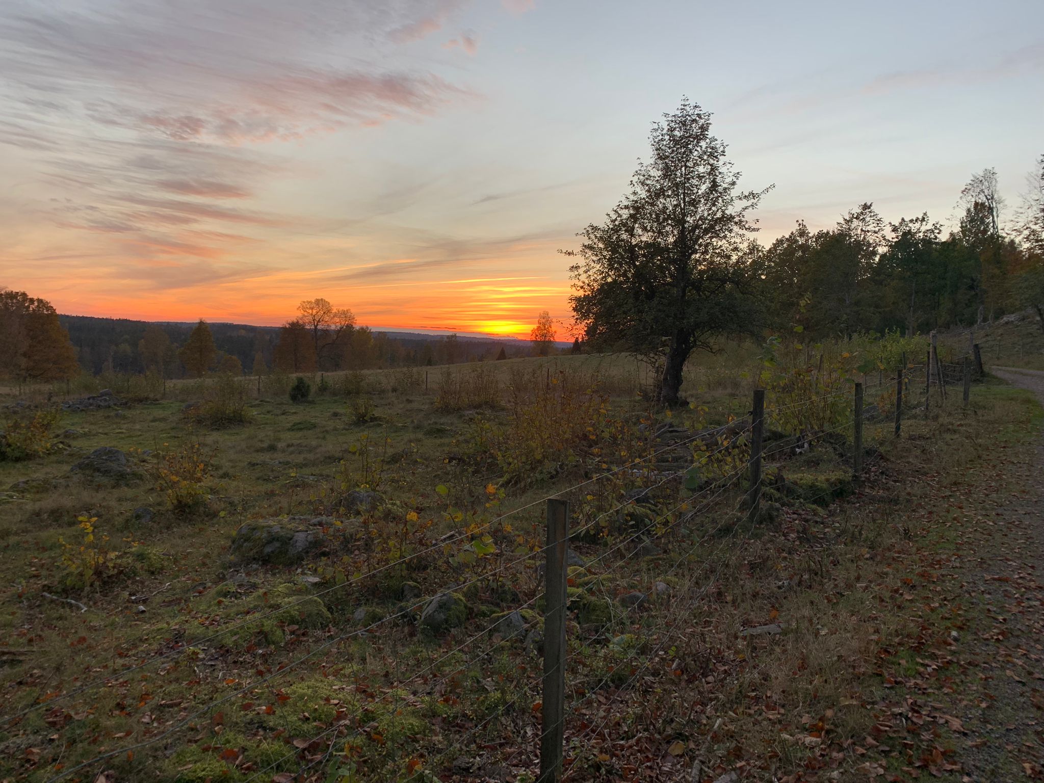Schwedenurlaub