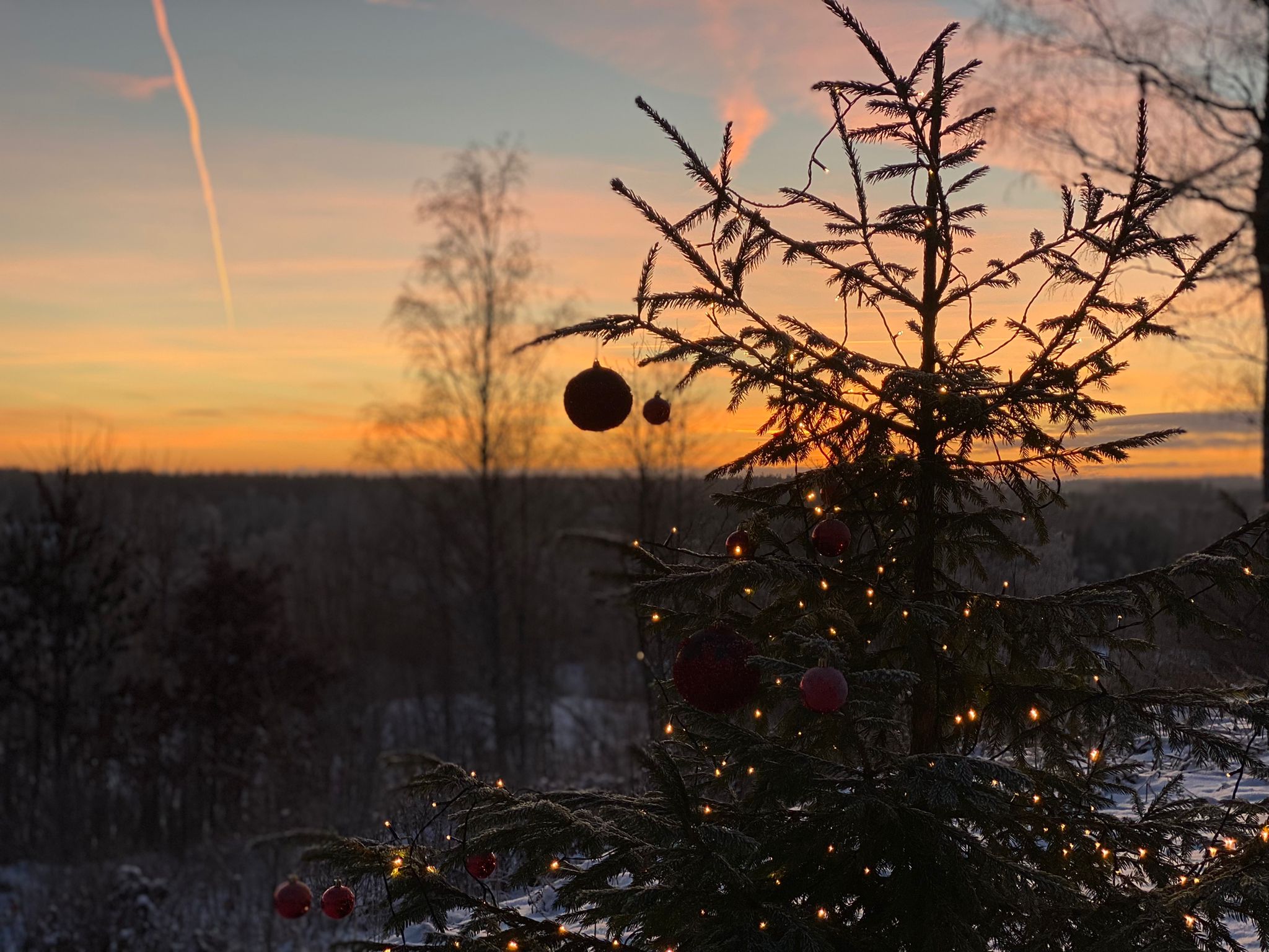 Winterurlaub in Schweden