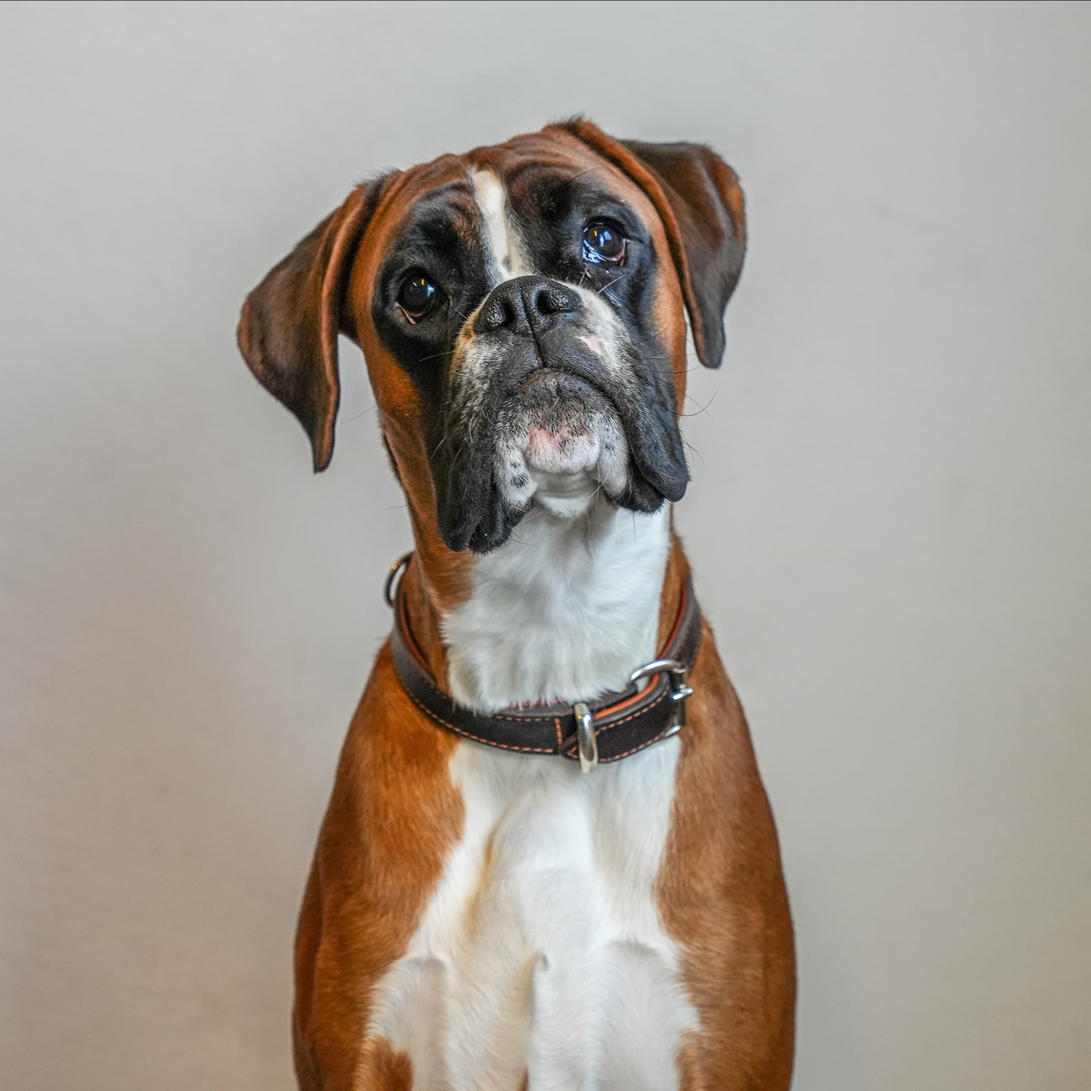 Oakley